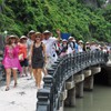 Russians scope out more tours to Vietnam