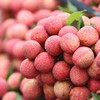 Southern lychee sales to be promoted
