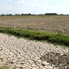 Mekong Delta Region suffers huge losses from climate change