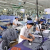 Vietnam’s economy to remain steady in 2016