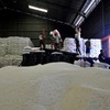 Indonesia purchases rice from Pakistan