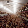 Chicken farmers learn from European industry