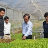 Vietnam applies Japanese technology in agriculture, fishery