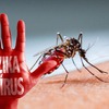 Zika virus under control in Phu Yen province