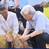 Party chief calls on efforts to tackle drought and salinization in Ben Tre