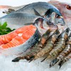 Chinese traders manipulate seafood prices
