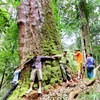 Developing discovery tourism to protect Po Mu heritage forest in Quang Nam