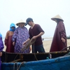 Fishing vessels struck by tornado in Quang Binh