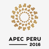 Vietnamese State President attends APEC events