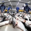 US to impose strict regulations on imported fisheries products