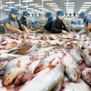 Vietnam welcomes US decision to end catfish inspection