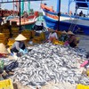 59 millions USD spent on supporting fishermen