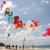 Ninh Thuan hosts international kiteboard event