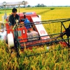 Investment in hi-tech agricultural zones stimulated