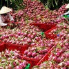 Agro-produce exports should prosper in 2016