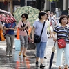 Chinese tourist surge strains VN’s tourism services