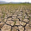 60 million people worldwide affected by El Nino phenomenon