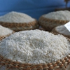 Q3 rice exports set to fall