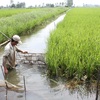 Agro-model adapts climate change
