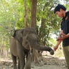 Wildlife rescue effort in Dak Lak