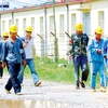Vietnam tops Asia in attracting foreign workers