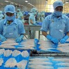 US Court of International Trade ruling will not affect Vietnamese tra fish exports