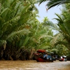 Vietnam seeks solutions to prevent saltwater intrusion in Mekong Delta