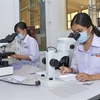 Việt Nam, Australia exchange medical knowledge on health services