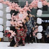 Cherry blossom at Shinnen 2016