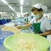 Việt Nam sees enterprise growth