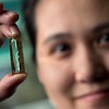 Vietnamese-American discovers formula for lifelong batteries