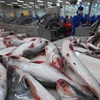 Tra fish may face higher US import taxes