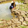 Measures to address Mekong Delta salt water intrusion