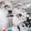 Vietnamese scientists face difficulties finding market