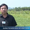 Quang Tri develops climate change resistant plants