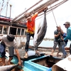 Thailand to receive Vietnamese workers for fishing, construction