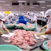 European meat exports to increase