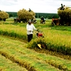 Mixed fortunes predicted for main agri-exports