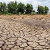 EU provides 90,000 EUR to assist drought-hit communities in Vietnam