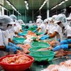 Vietnam to become global seafood processing centre