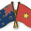 Vietnam, Australia foster joint medical research