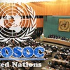 Ecosoc countries discuss policy integration in implementation of SDGs