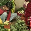 Da Lat flower sector not fully exploited