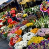 Flowers abundant on Women’s Day, prices stable