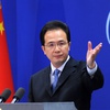 Chinese spokesman’s arguments completely wrongful: aviation authority