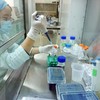 Vietnam successfully produces Porcilis PRRS vaccine