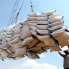 Vietnam’s rice exports surge in February