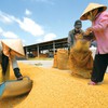 Vietnam hopeful about rice exports