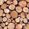 Preparations for wood origin tracking needed