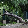 Tropical storm Talas makes landfall in Vietnam